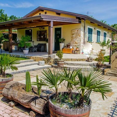 B&B Etna Ranch Пьедимонте-Этнео Экстерьер фото