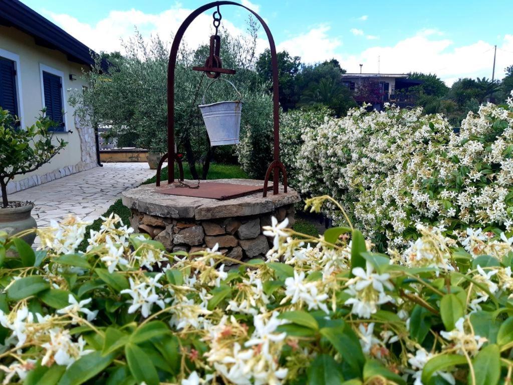 B&B Etna Ranch Пьедимонте-Этнео Экстерьер фото